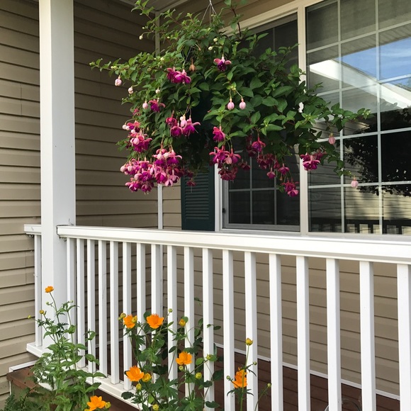 Meet your Posher, Melinda - Picture 3 of 3